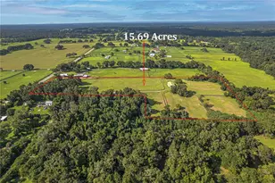 12615 NW Gainesville Rd, Reddick, FL 32686 - Photo 11