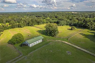 12615 NW Gainesville Rd, Reddick, FL 32686 - Photo 41