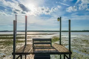 25212 E Hwy 316, Salt Springs, FL 32134 - Photo 45