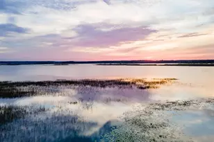 25212 E Hwy 316, Salt Springs, FL 32134 - Photo 79