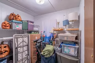 25212 E Hwy 316, Salt Springs, FL 32134 - Photo 63