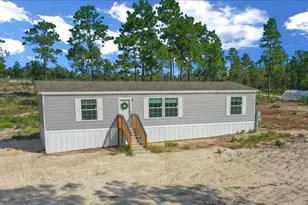 14151 SE 68th Ln, Morriston, FL 32668 - Photo 1