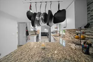 2589 Knoll St W, Palm Harbor, FL 34683 - Photo 11