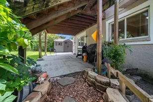 2589 Knoll St W, Palm Harbor, FL 34683 - Photo 43