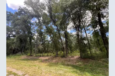 1628 E Derby Drive, Dunnellon, FL 34434 - Photo 3