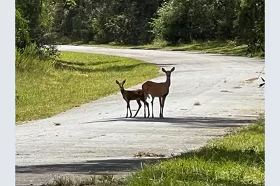 1628 E Derby Drive, Dunnellon, FL 34434 - Photo 9