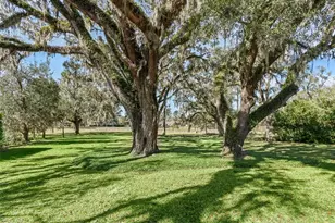 3848 NW 85th Terrace, Ocala, FL 34482 - Photo 3