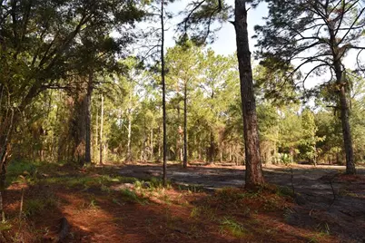 180 Caravelle Farms Road, Palatka, FL 32177 - Photo 25