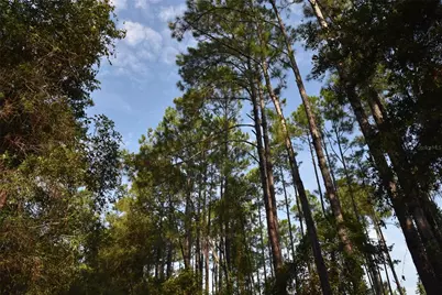 180 Caravelle Farms Road, Palatka, FL 32177 - Photo 13