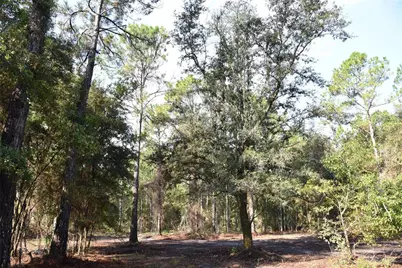 180 Caravelle Farms Road, Palatka, FL 32177 - Photo 19