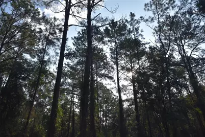 180 Caravelle Farms Road, Palatka, FL 32177 - Photo 27