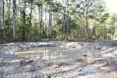 180 Caravelle Farms Road, Palatka, FL 32177 - Photo 7