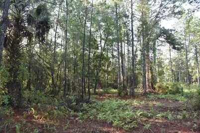 180 Caravelle Farms Road, Palatka, FL 32177 - Photo 29