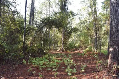 180 Caravelle Farms Road, Palatka, FL 32177 - Photo 31