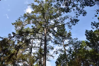 180 Caravelle Farms Road, Palatka, FL 32177 - Photo 35