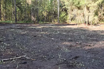 180 Caravelle Farms Road, Palatka, FL 32177 - Photo 37