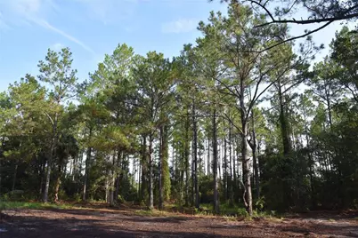 180 Caravelle Farms Road, Palatka, FL 32177 - Photo 17