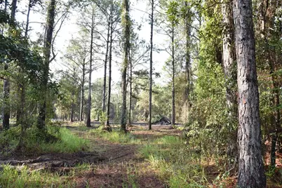 180 Caravelle Farms Road, Palatka, FL 32177 - Photo 21