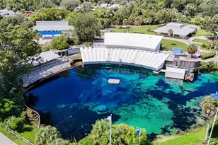 7159 Cyclops Dr, Weeki Wachee, FL 34607 - Photo 39