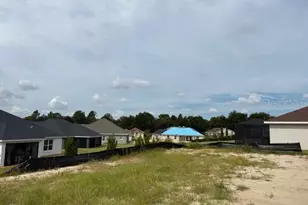 6590 SW 179th Ave Rd, Dunnellon, FL 34432 - Photo 9