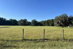 0 NE 132nd Pl, Anthony, FL 32617 - Photo 1