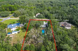 390 W Olympia St, Hernando, FL 34442 - Photo 5