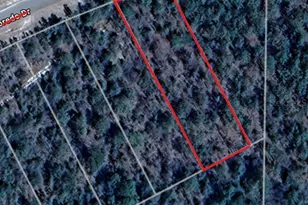 Lot 25 Goodman Hill Rd, Chipley, FL 32428 - Photo 1