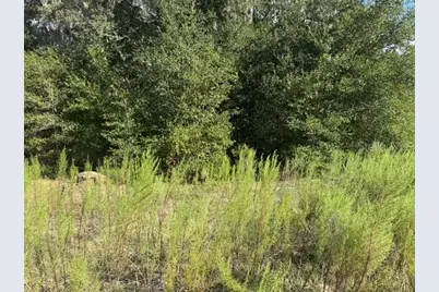 Lot 18 SW 146th Avenue, Ocala, FL 34481 - Photo 3