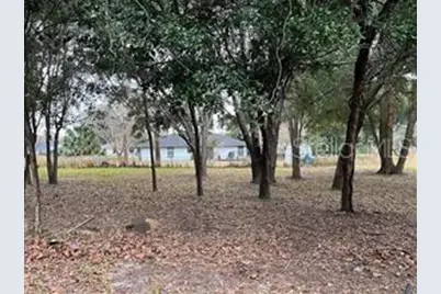 Lot 30 Hemlock Radial Court, Ocala, FL 34472 - Photo 13