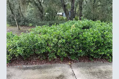 10625 NE 153rd Street, Fort Mc Coy, FL 32134 - Photo 3