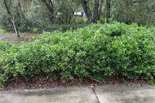 10625 NE 153rd St, Fort Mc Coy, FL 32134 - Photo 3