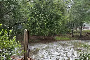 10625 NE 153rd St, Fort Mc Coy, FL 32134 - Photo 5