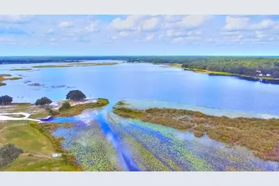 24921 NE 136th Lane, Salt Springs, FL 32134 - Photo 29