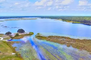 24921 NE 136th Ln, Salt Springs, FL 32134 - Photo 29