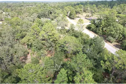 11682 N Belluzzi Terrace, Dunnellon, FL 34433 - Photo 5