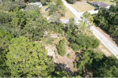 11682 N Belluzzi Terrace, Dunnellon, FL 34433 - Photo 1
