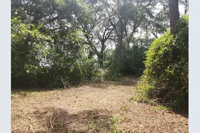 Lot 53 SW Shorewood Drive, Dunnellon, FL 34431 - Photo 11