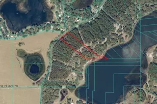Tbd SE 170th Ave, Ocklawaha, FL 32179 - Photo 1