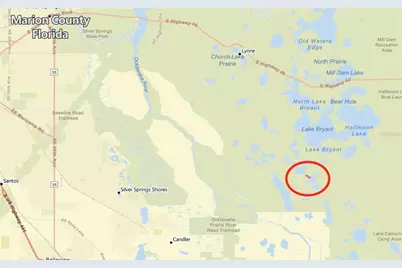 Tbd SE 170th Avenue, Ocklawaha, FL 32179 - Photo 3