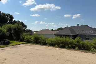 6608 SW 179th Ave Rd, Dunnellon, FL 34432 - Photo 9