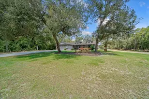 385 E Gamewell Ln, Citrus Springs, FL 34434 - Photo 5