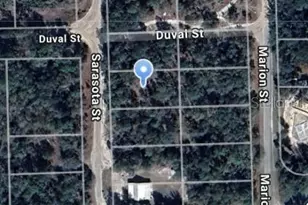 132 Sarasota St, Florahome, FL 32140 - Photo 1