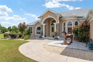 6575 S Magnolia Ave, Ocala, FL 34471 - Photo 87