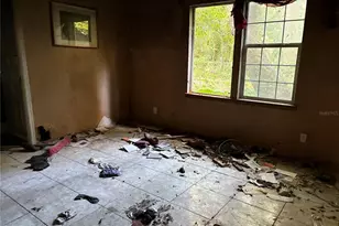 16230 SE 135 Ct, Weirsdale, FL 32195 - Photo 13