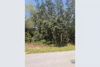 8010 N Primrose Drive, Citrus Springs, FL 34434 - Photo 13