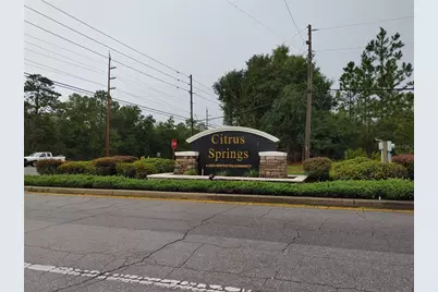 8010 N Primrose Drive, Citrus Springs, FL 34434 - Photo 1