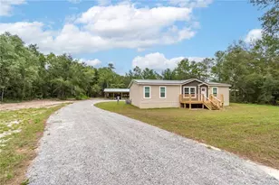 10865 NE 220th St, Fort Mc Coy, FL 32134 - Photo 7