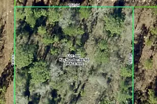 14056 Race Ave, Weeki Wachee, FL 34614 - Photo 1