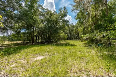 13371 NE Highway 27 Alt, Williston, FL 32696 - Photo 43