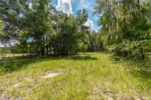 13371 NE Hwy 27 Alt, Williston, FL 32696 - Photo 43